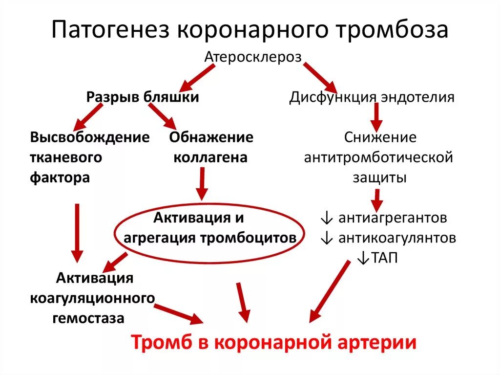 Патогенез образования тромба. Острый артериальный тромбоз патогенез. Схема патогенеза артериального тромбоза. Патогенез Окс схема. Механизмы тромбов