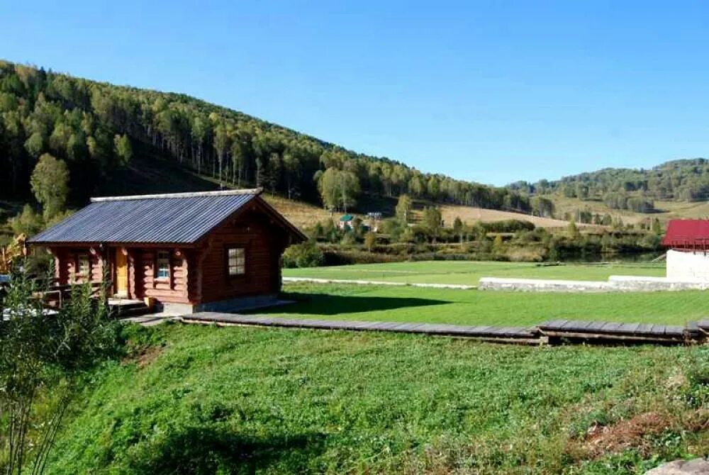 Маральник никольское. Маральник Никольское Алтай. Село Никольское маральник. Село Никольское Алтайский край маральник. Маральник Черемшанка Алтайский край база.