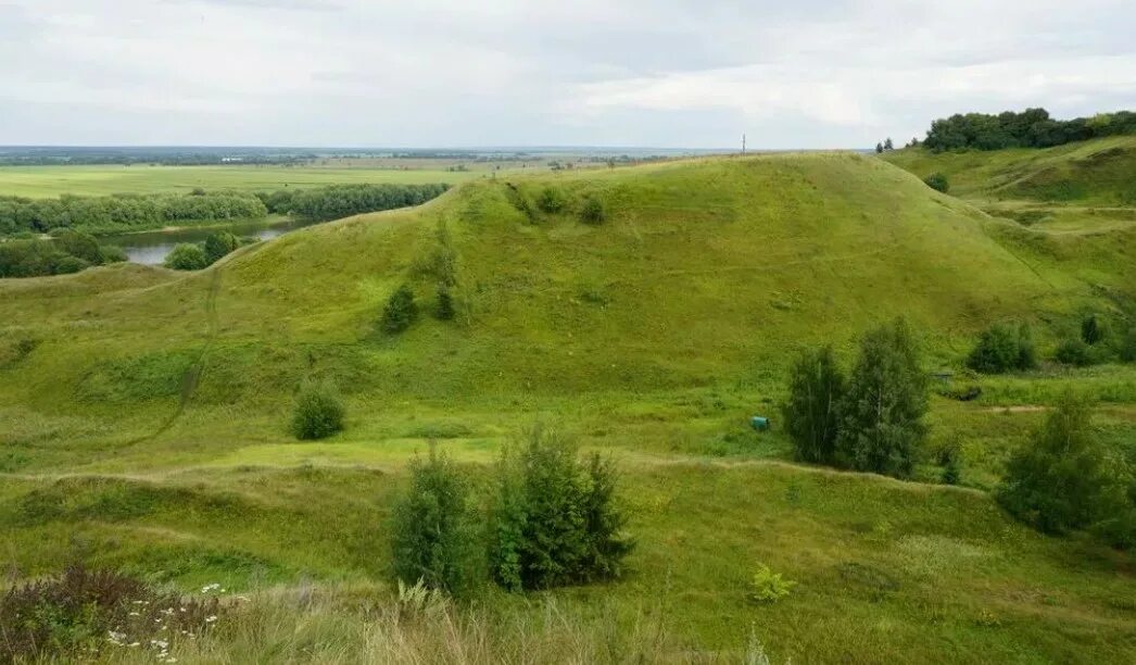 Перевицкий торжок где находится. Перевицкий торжок луховицкий. Перевицкий торжок луховицкий. Перевицкий торжок. Деревня перевицкий торжок луховицкий.