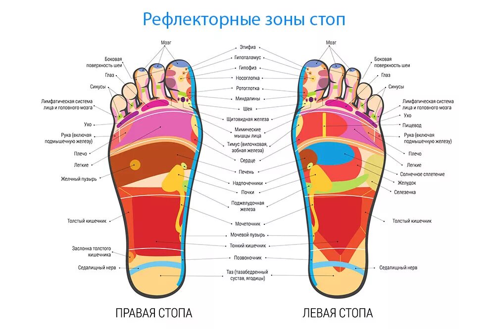 Рефлекторные зоны стоп схема. Рефлекторные зоны стопы схема. Массажные точки на ступнях ног схема. Тайский массаж стоп рефлекторные зоны