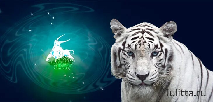 бык эскиз. телец тигр. знак зодиака телец. картинки тигр и телец. таурен друид медведь.