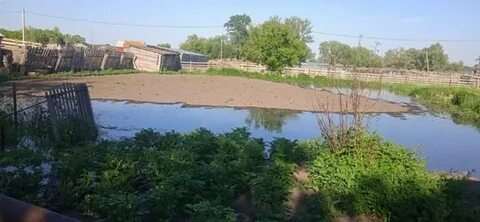 Вода в оби усть чарышской пристани