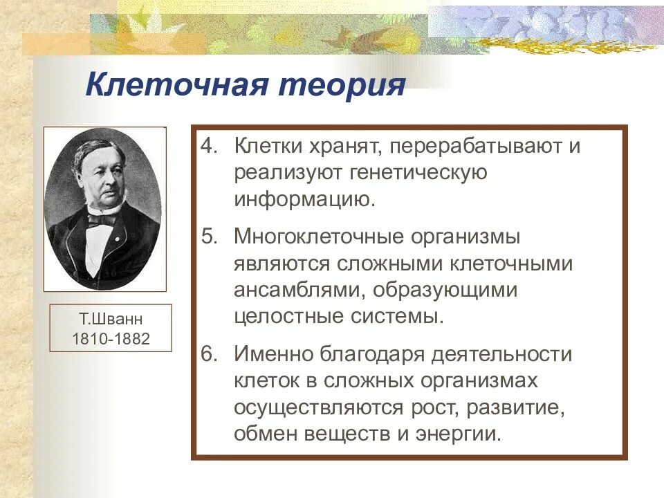 Значение формирования клеточной теории. Значение формирования клеточной теории