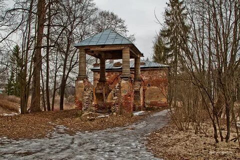 Дачи александровой