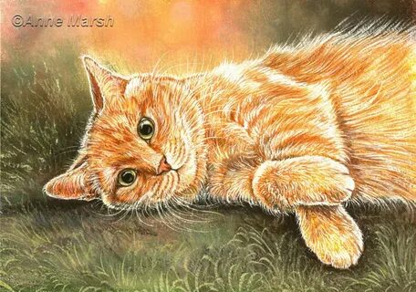 Рыжий рисунок карандашом