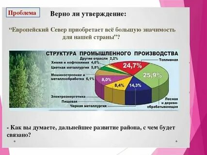 Особенность хозяйства европейского севера