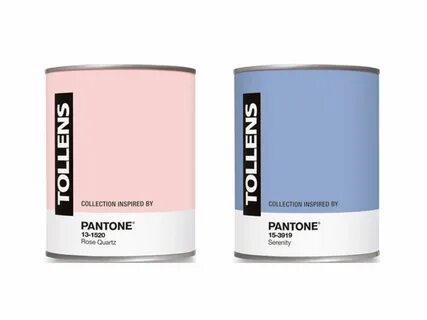 Pantone mushroom