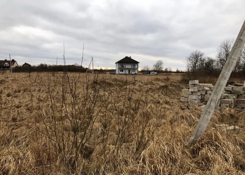 иван поддубный. иван поддубный казак. пос поддубный. посёлок поддубное калининградская черняховский район. иван поддубный борец лот.