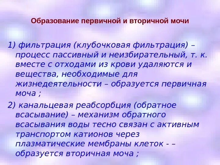 Образование первичной и вторичной мочи. Механизм образования первичной мочи. Этапы и механизмы образования первичной и вторичной мочи. Формирование первичной и вторичной мочи.