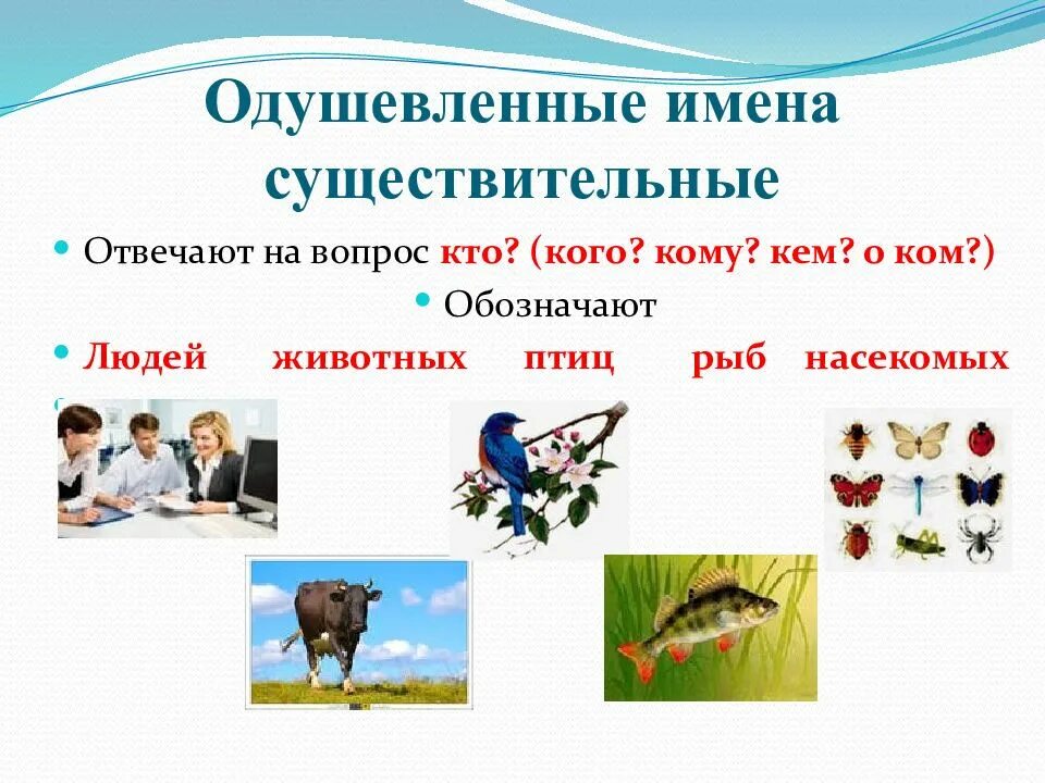 Имя существительное:одешевлёное,имя нарицательное