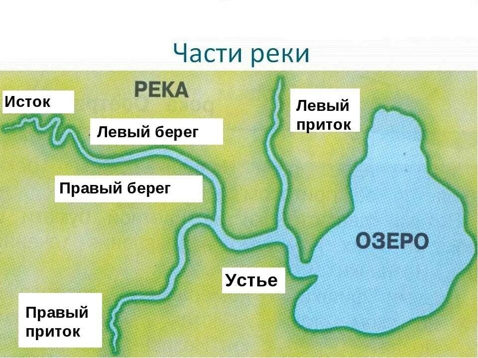 Как определить направление реки. Река Лена Исток Устье притоки. Устье реки Исток приток окружающий мир. Исток реки Устье реки правый приток левый приток. Истоки реки Устье реки правый берег левый берег.