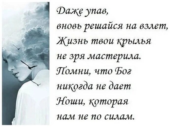 Я дам тебе жизнь. Высказывания про Крылья. Цитаты про Крылья. Даже упав вновь решайся на взлет. Цитаты про Крылья за спиной.