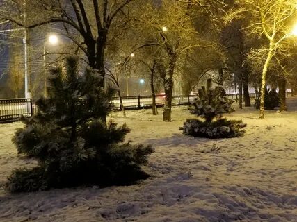Волгоград 70 лет победы