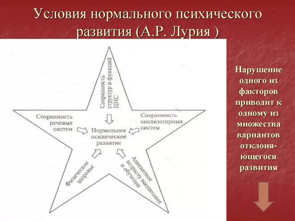 Условия нормального психического развития. Условия нормального психического развития а.р Лурия. Условия нормального психического развития ребенка. Основные условия нормального развития ребенка.