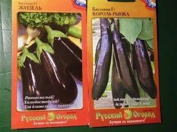 Баклажан король севера описание сорта фото: найдено 85 изображений