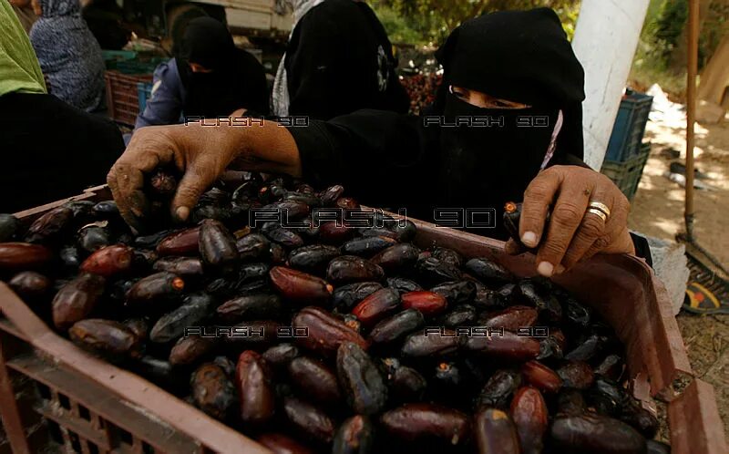 финики саудовская аравия. финики саудовская аравия. финики "сафави" prestige. саудовские финики. саудовская аравия финики суккари.