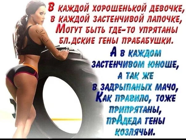Каждой хорошей девчонке. В каждой застенчивой лапушке гены прабабушки. в каждой хорошенькой. стишок в каждой застенчивой лапушке. в каждой хорошенькой девочке.