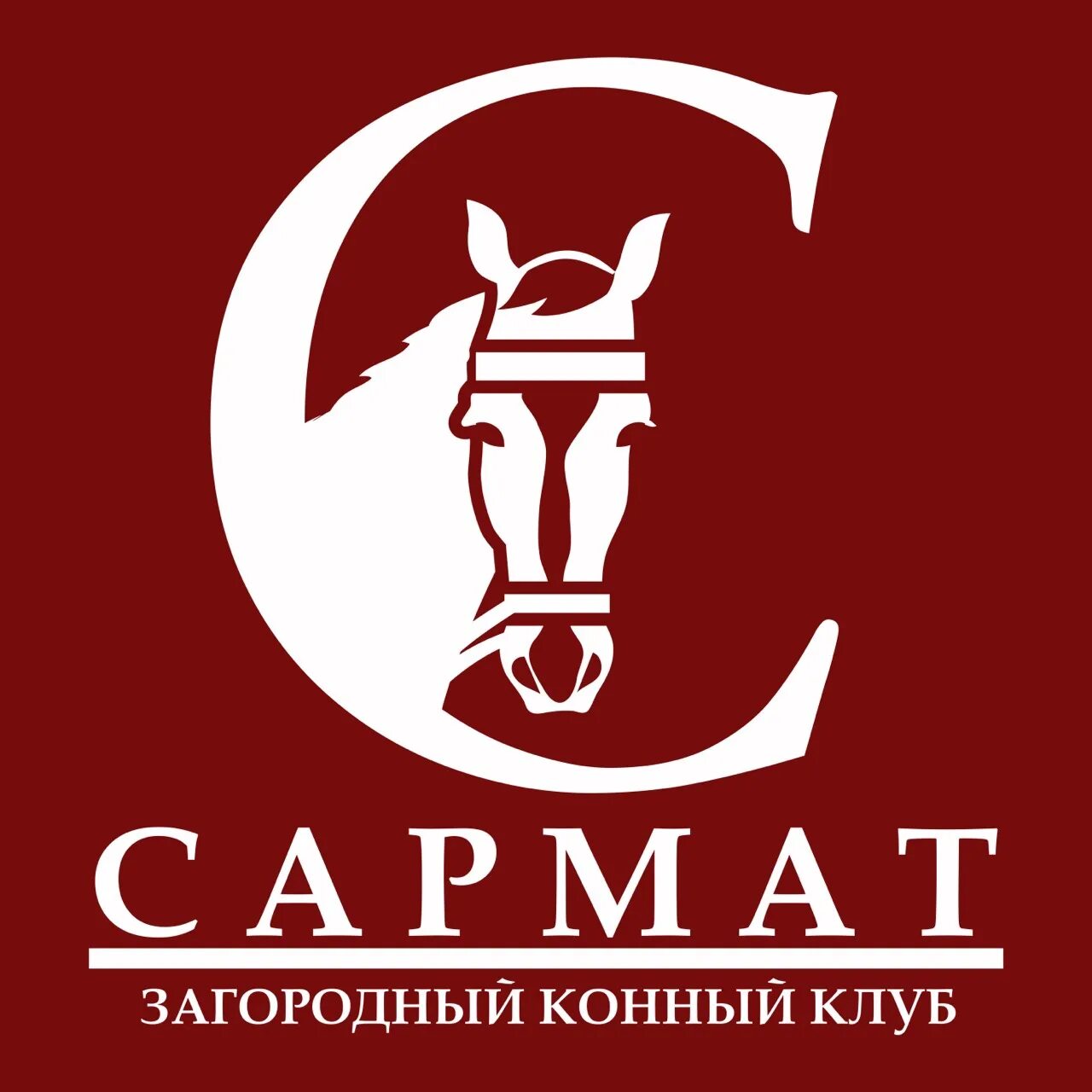 Клуб сармат ростов. Клуб сармат ростов. Стрелковый клуб сармат оренбург. Сарматы и лошадь. Сарматы и лошадь.