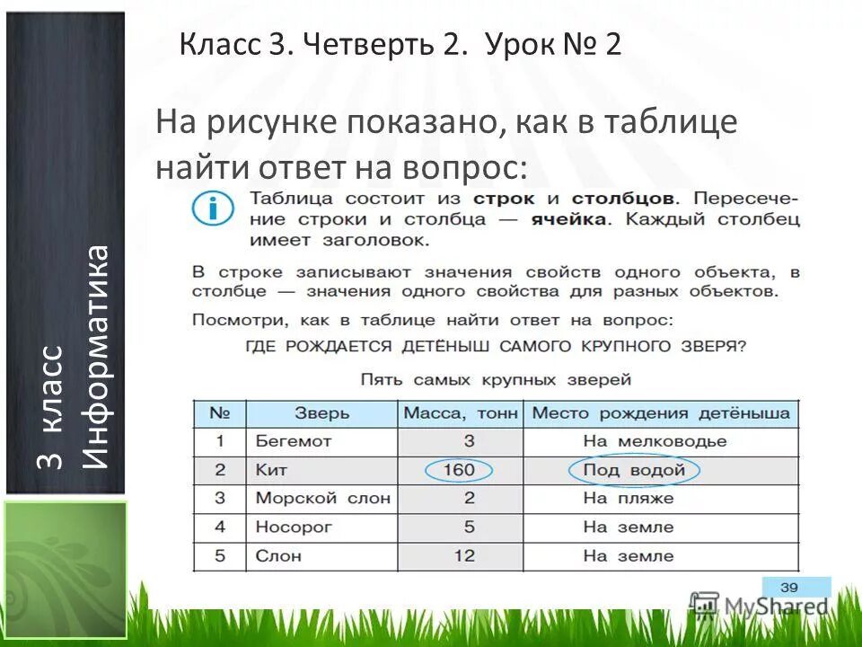назовите размеры рабочего листа строк столбцов. столбец в табличной бд. как называется строка в базе данных. каждый столбец имеет имя. сколько строк в рабочем листе?.