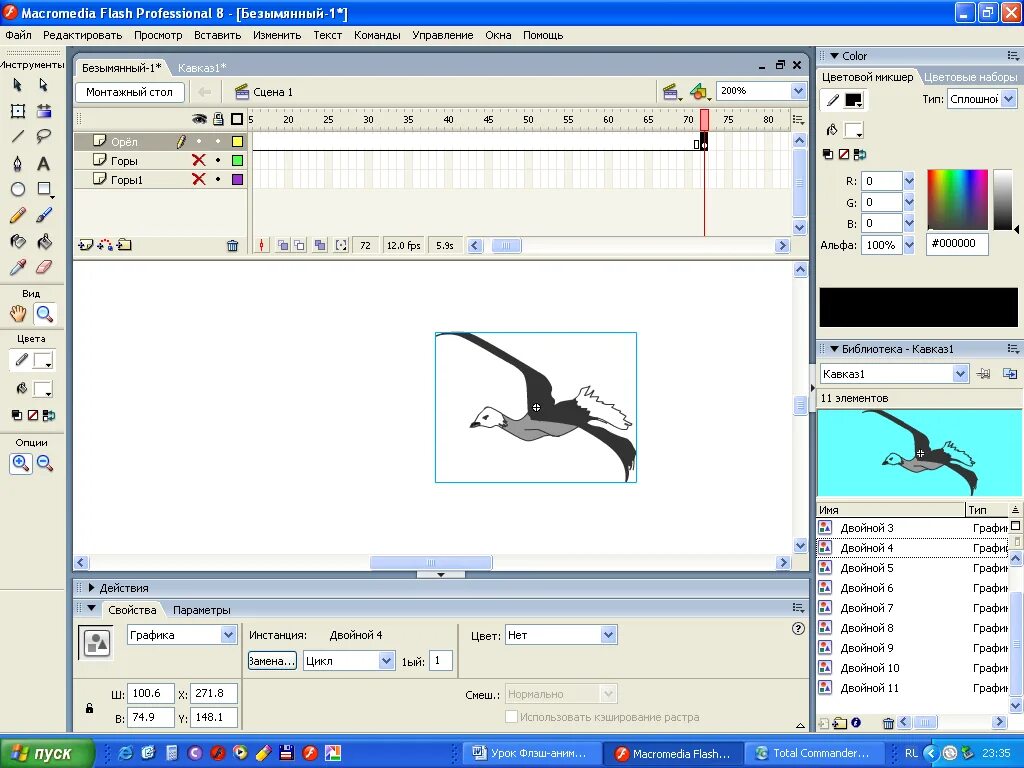 Macromedia player