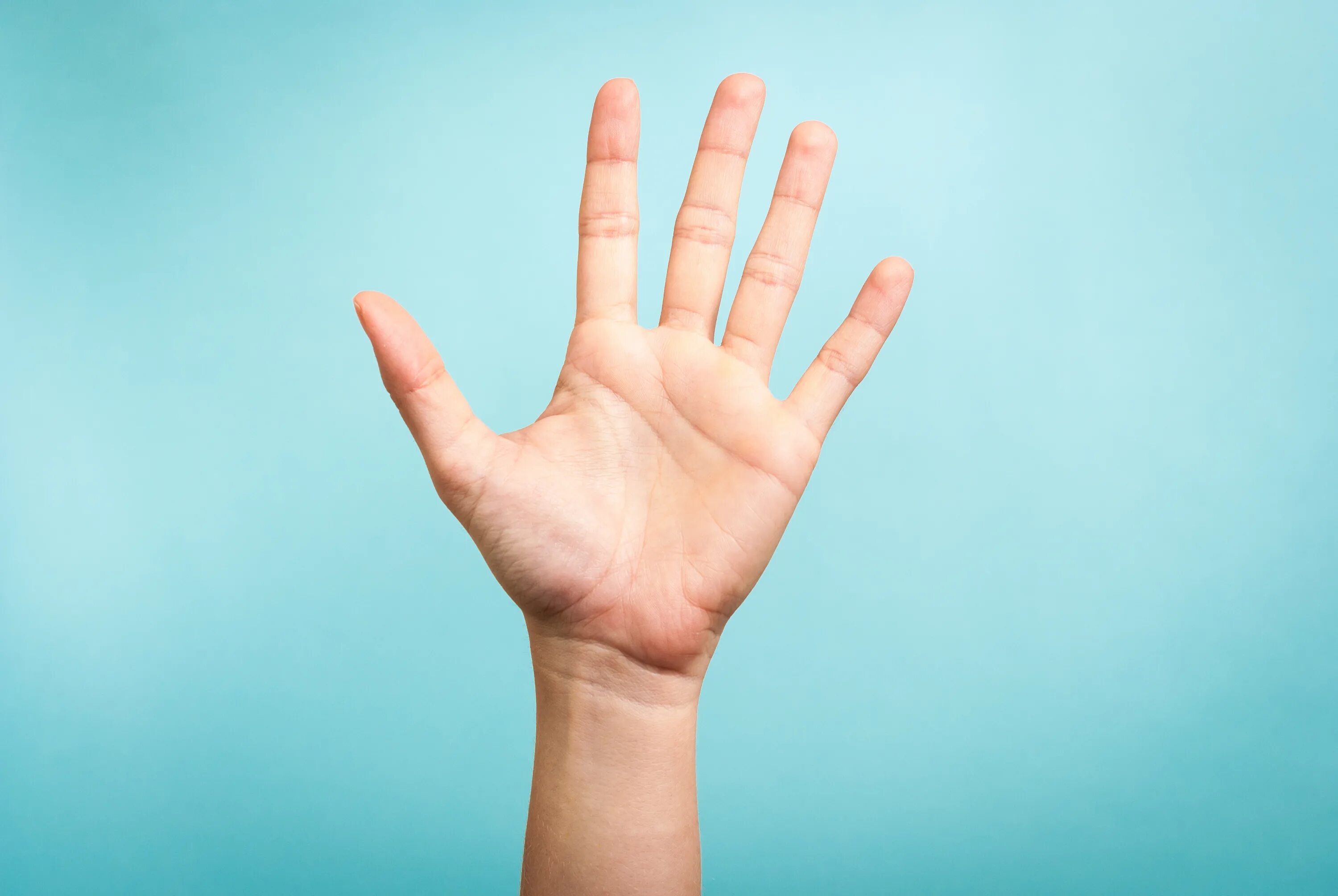 Hands up high