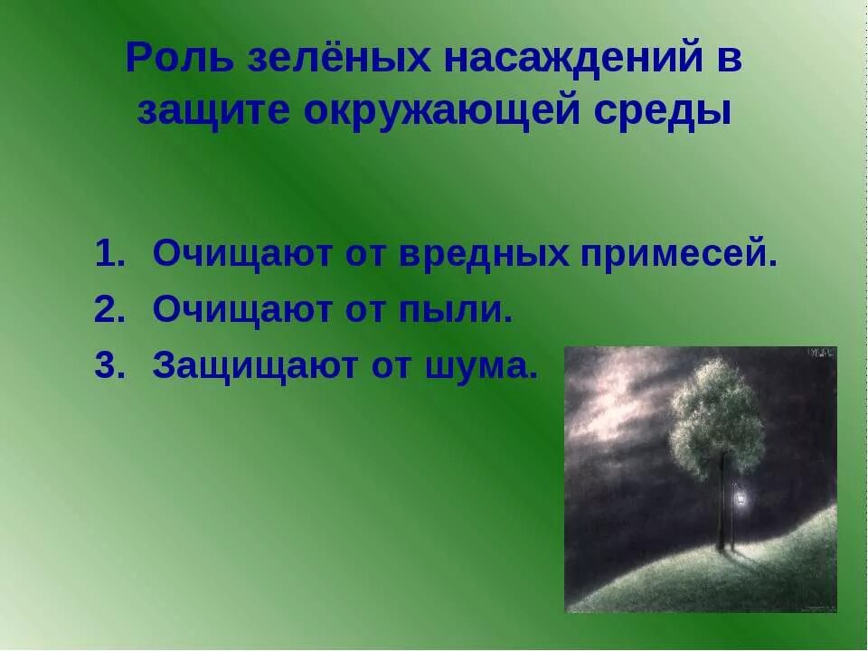 Роль зеленых насаждений. Роль зелёных насаждений в защите от шума кратко. Растения очищают воздух от вредных примесей и пыли. Вывод о значении зеленых насаждений для человека.