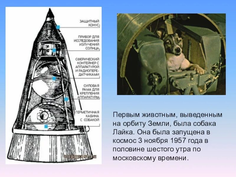 Второй спутник. Спутник-2 космический аппарат с лайкой. спутник 2 1957. 3 ноября 1957 в космос. запуск второго искусственного спутника земли.