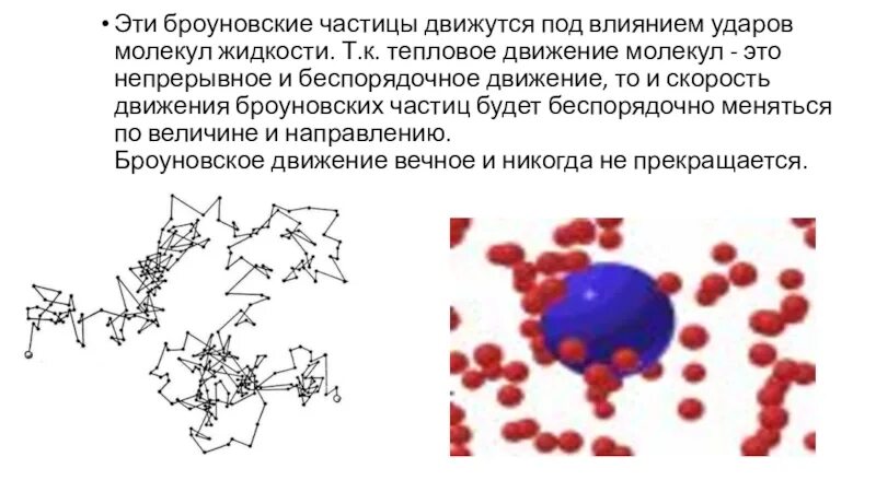 Скорость хаотического движения частиц. Броуновское движение частиц в жидкости. Хаотичное движение броуновских частиц. Броуновское движение молекул. Скорость броуновского движения.