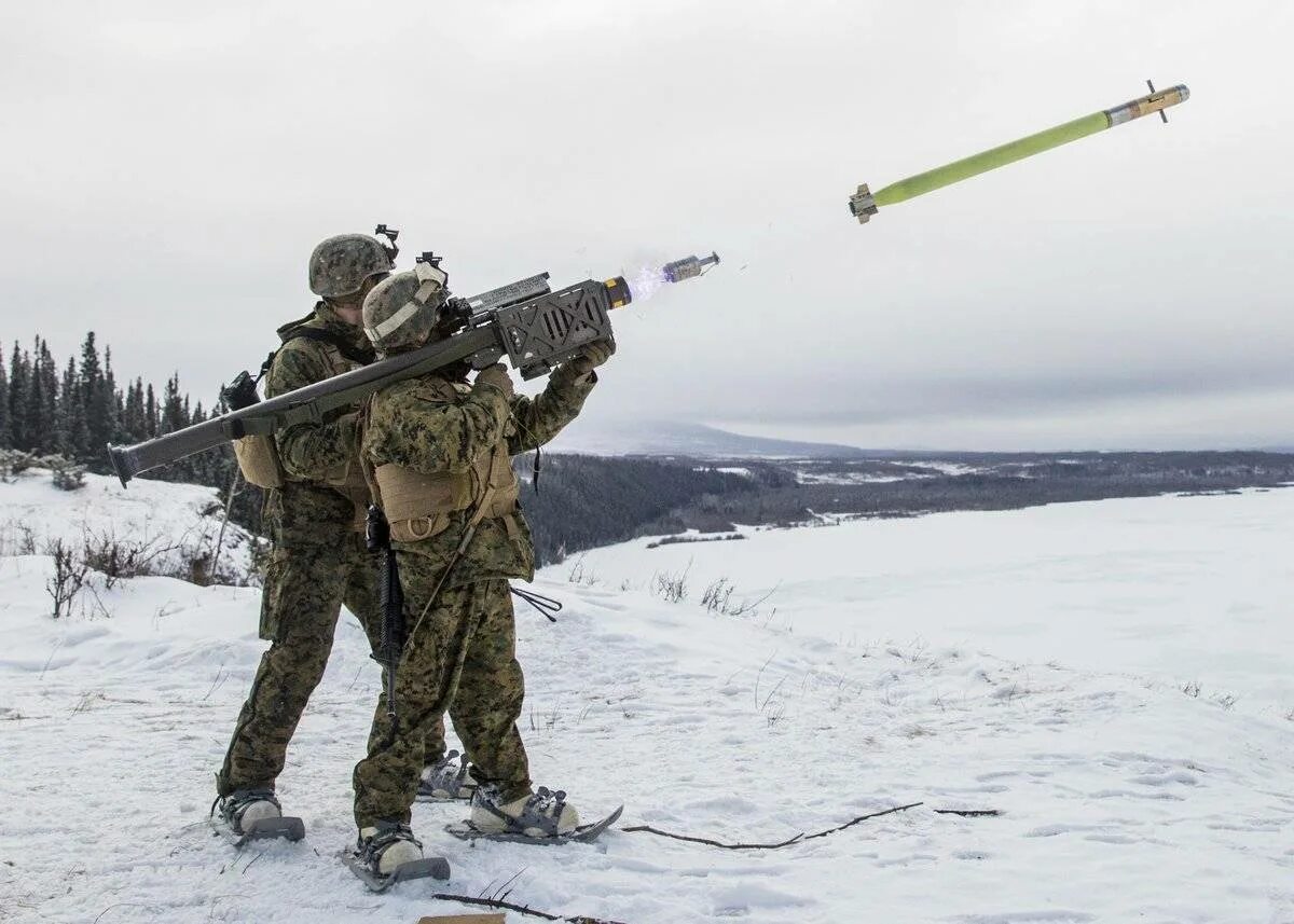 ПЗРК FIM-92 Stinger. FIM-92 Stinger «Стингер». FIM 92 Стингер. 200 ПЗРК Stinger. Эстония направит одного военного