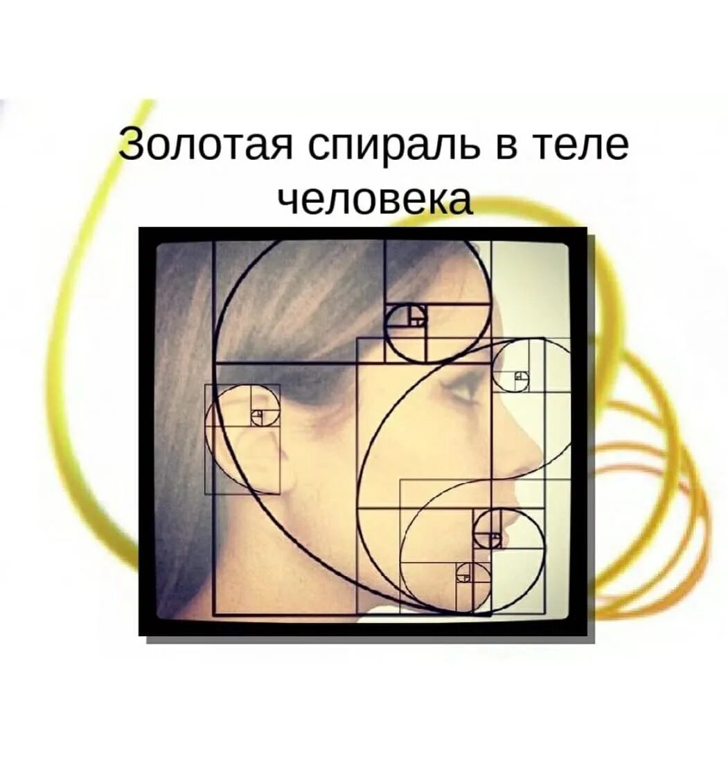 Золотое сечение в ландшафтном дизайне примеры