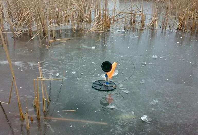Расстановка жерлиц зимой. Ловля на флажки зимой. Рыбалка на жерлицы. Жерлицы первый лёд. Жерлицы на озере.