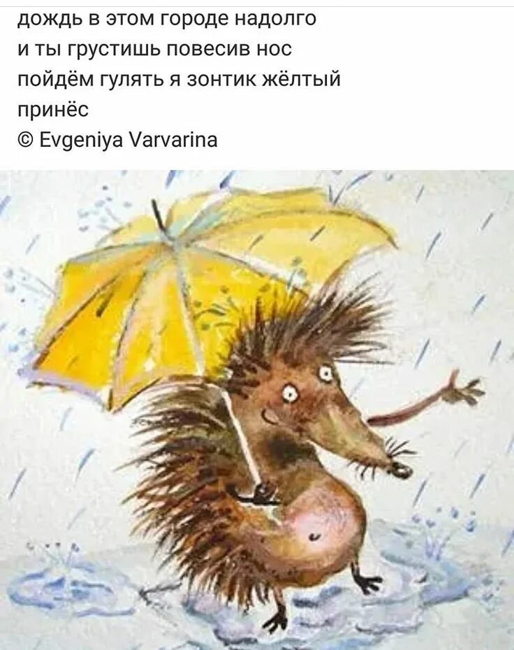 Дождевой еж
