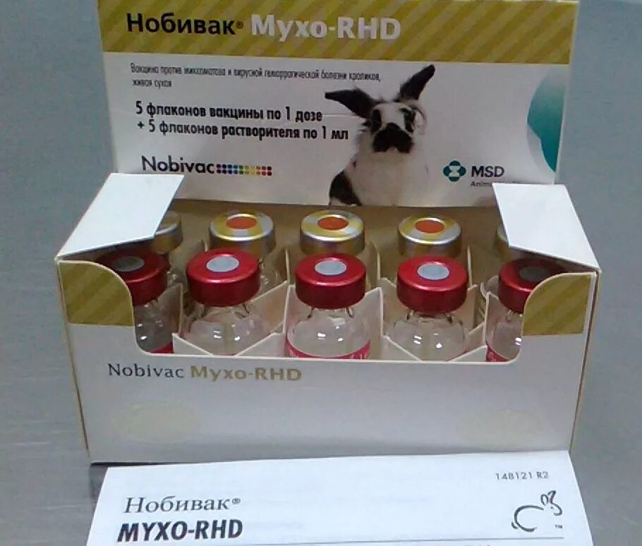 Ассоциированная вакцина против миксоматоза и вгбк. Миксоматоз и ВГБК У кроликов вакцина. Вакцина против миксоматоза кроликов. Вакцины Нобивак для кроликов против миксоматоза.