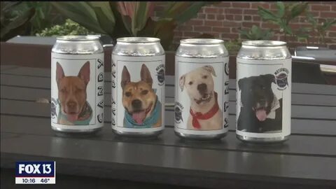 Cans youtube