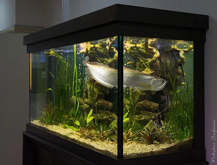 аквариум jebo 790. аквастор аквариумы. мэджик сити аквариум. тумба под аквариум jebo. аквариум jebo r790.