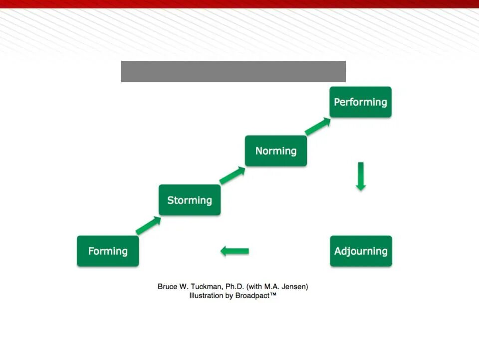 Модель развития команды проекта Брюса Такмана состоит из. Цикл развития команды. Цикл формирования команды. Этапы формирования команды по Такману. Модель брюса такмана