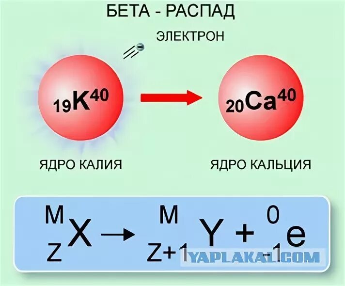 Электронный бета распад ядра. Схема бета распада ядра электронный. Реакция бета распада формула. Уравнение бета-распада ядра атома.. Бета распад ядра формула.