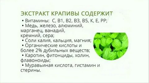 Витамины в крапиве