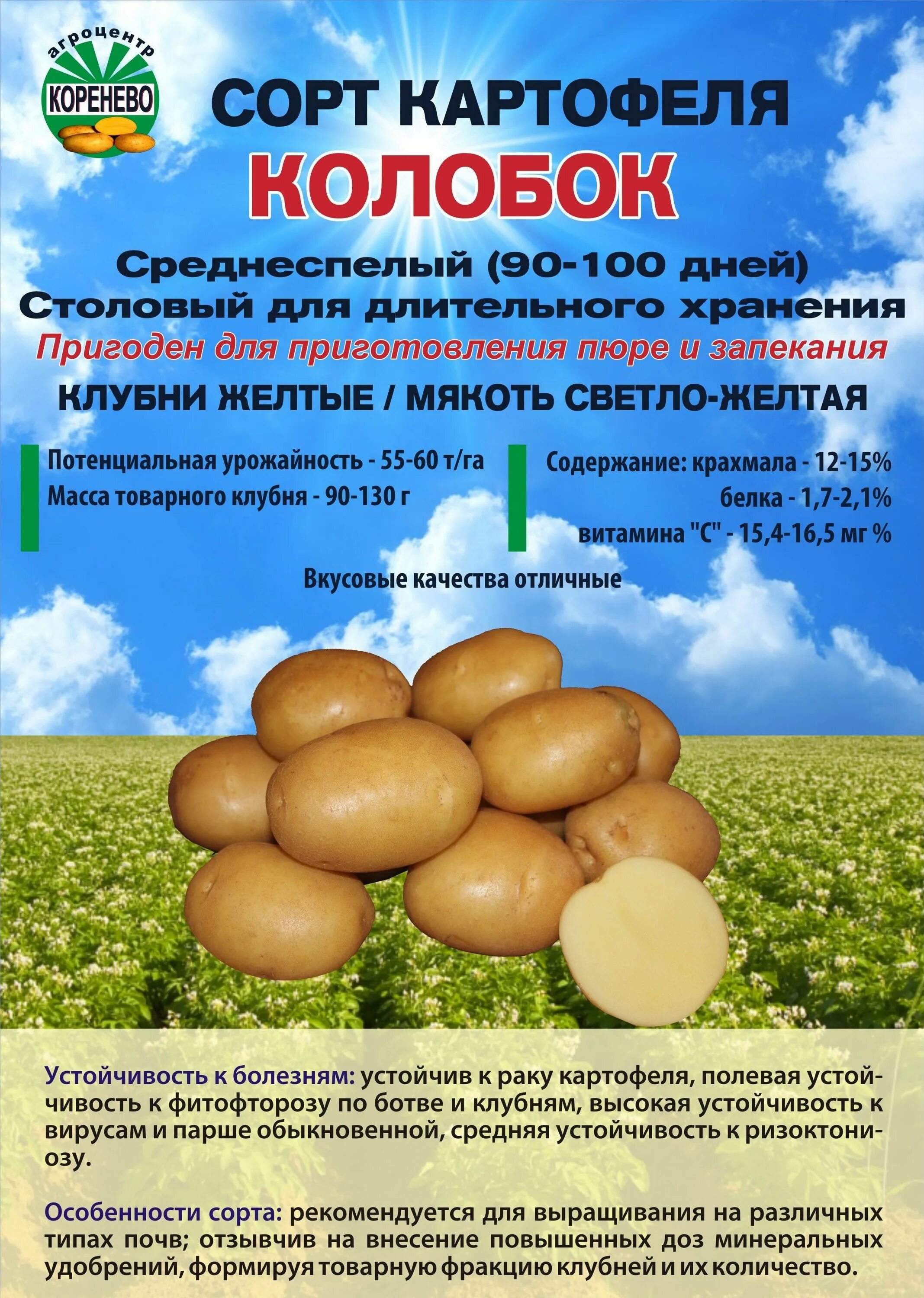 Картофель Колобок
