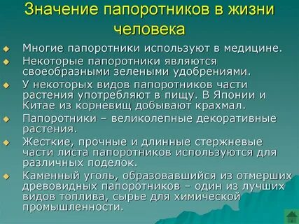 Какую роль в жизни человека играют папоротниковидные