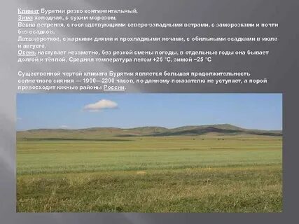 Континентальный климат почва