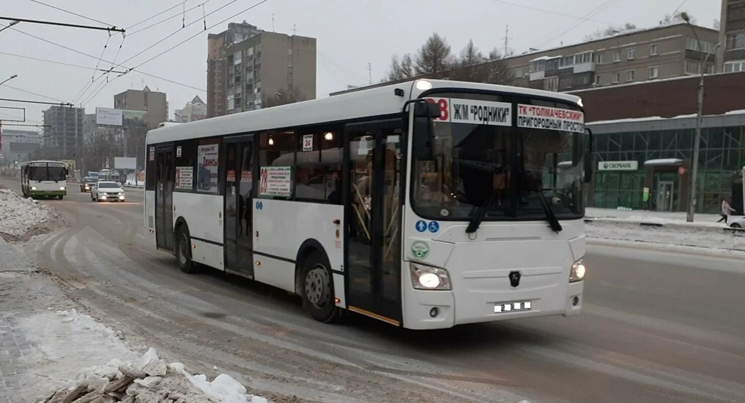 Автобус курган тобольск. Лиаз 5256 и 5292. лиаз 5293. лиаз-5293 автобус. лиаз 5256 и 5293.