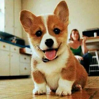 Hello here