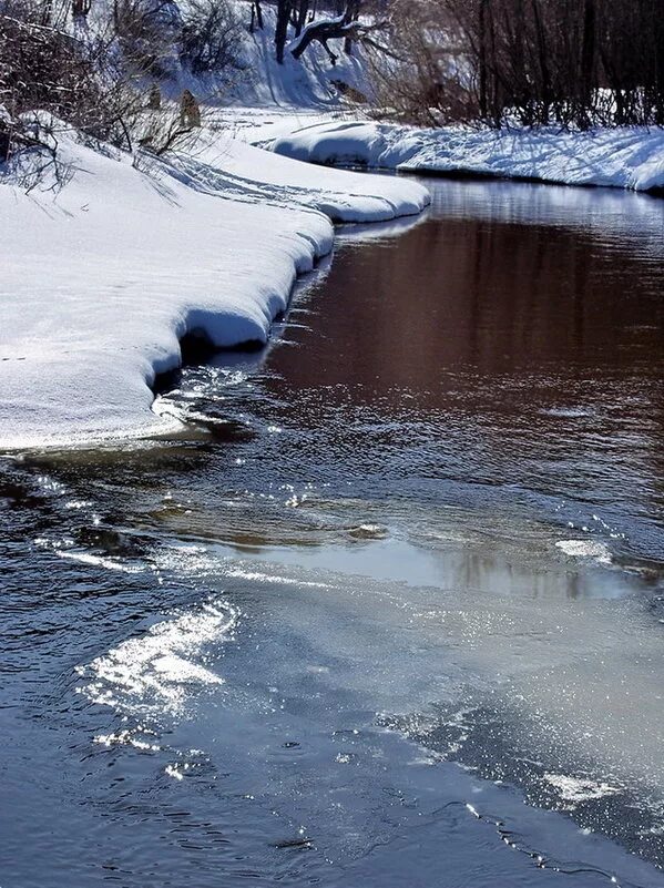 А воды уж весной шумят. Весенние пейзажи романа романова. Весенний уж. Еще в полях белеет снег а воды уж весной шумят иллюстрации. Обыкновенный уж.