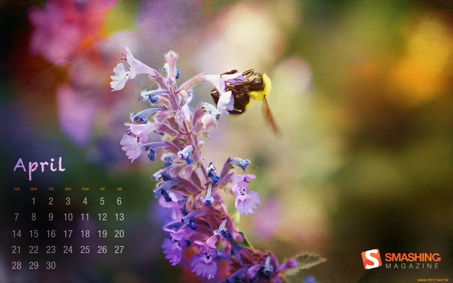 Глупый апрель. Обложка календаря цветы. Пчела цветок Ноты. Обои на смартфон апрель. Апрель картинка календарь.