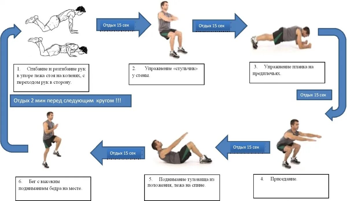 Составьте комплекс упражнений для круговой тренировки. Круговой метод тренировки пример. Круговая тренировка по методу непрерывного упражнения. Комплекс упражнений для круговой тренировки из 5 упражнений.