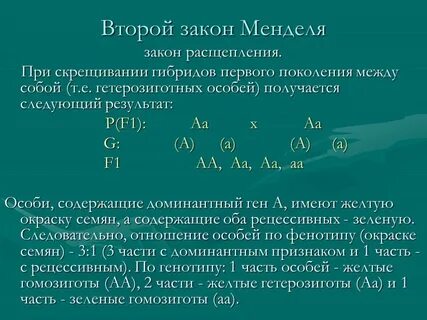 Гласить 1 лицо