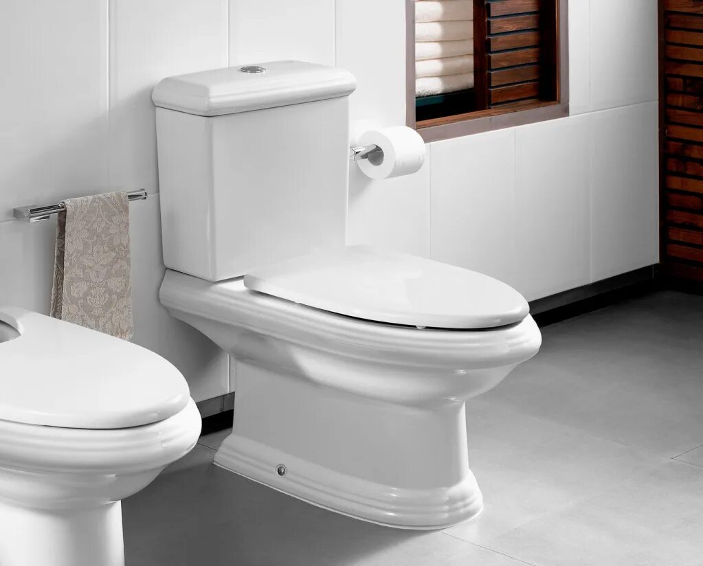 Roca meridian 342248000. Унитаз фирмы roca. Roca carmen унитаз. Унитаз-компакт roca meridian 342247000. Унитаз в интерьере.