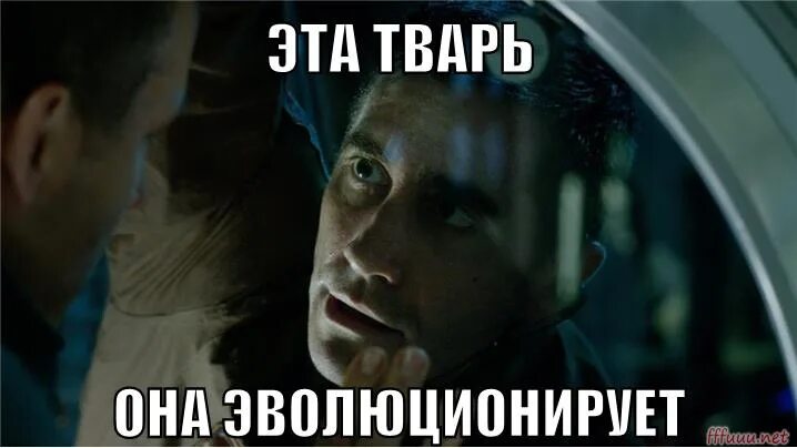 Не знаю оно само купилось. Он, она, они. Это не я это оно. Он, она, они. Это не я это оно.