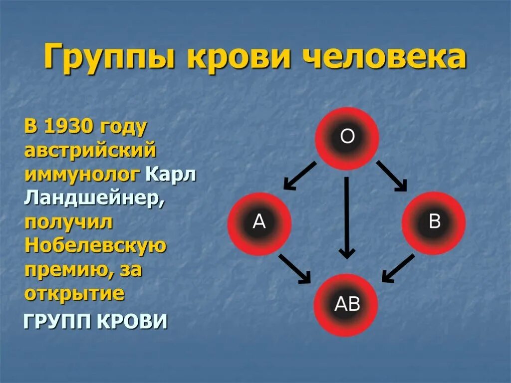 Проект по биологии 8 класс группа крови. Классификация групп крови человека. Биология 8 класс свертывание крови переливание крови группы крови. Группы крови биология 9 класс. Задачи по биологии на группу крови